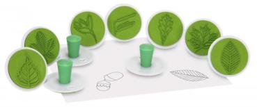 riesenstempel-blaetter-10-stueck